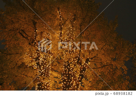 クリスマスイルミネーション クリスマスイルミネーション 68938182