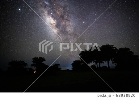 《宮崎県 都井岬》 都井岬のヤシの木とソテツと天の川 《宮崎県 都井岬》 都井岬のヤシの木とソテツと天の川 68938920