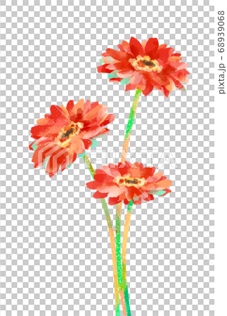 優しいタッチのガーベラのイラストのイラスト素材