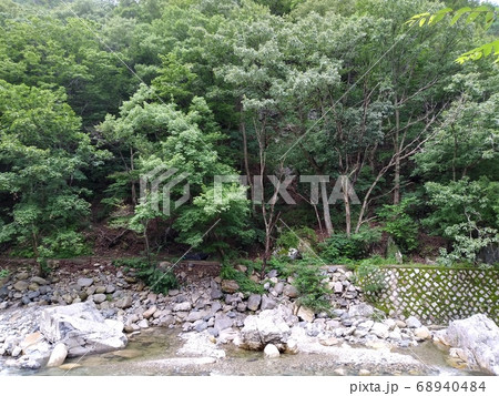 森 山 谷 68940484