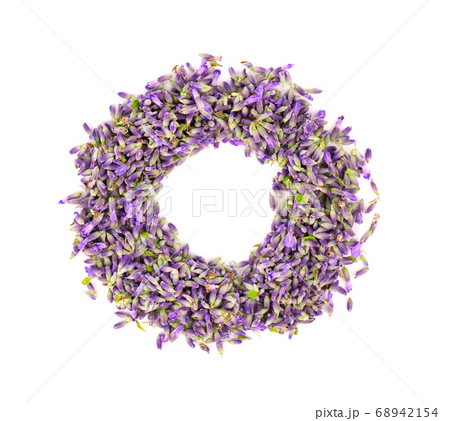 Lavender flowers, isolated on white background. Petals of lavender flowers. Medicinal herbs. Top view. 68942154