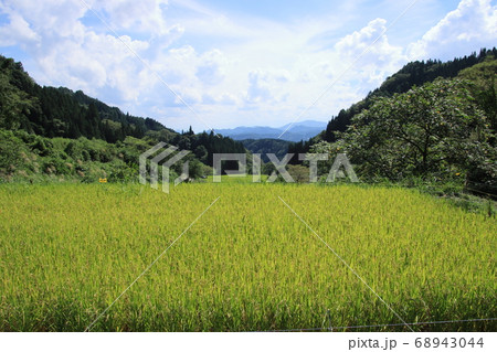 薬師沢の棚田　長野県小川村 68943044