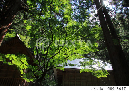 大宮神明社　長野県白馬村 68943057