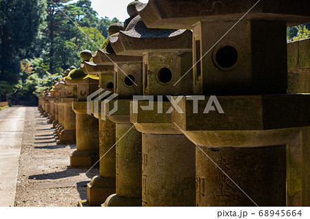 平林寺の夏・大河内家墓所 平林寺の夏・大河内家墓所 68945664