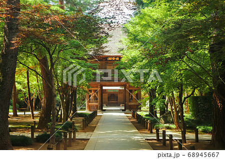 平林寺の夏・山門 68945667