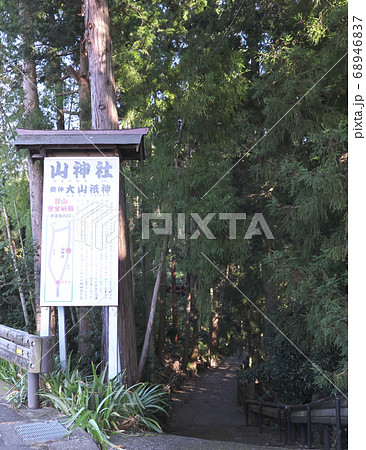 大倉尾根　登山道 68946837