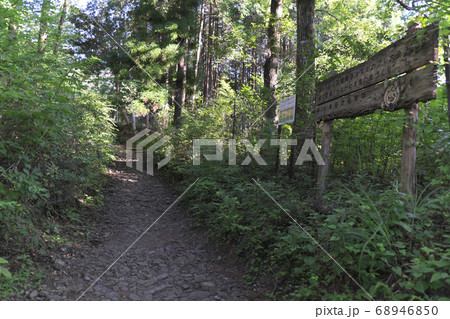 大倉尾根　登山道 68946850