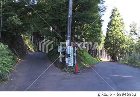 大倉尾根　登山道 68946852