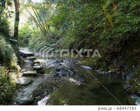三浦半島に残る清流前田川渓谷の夏 68947283