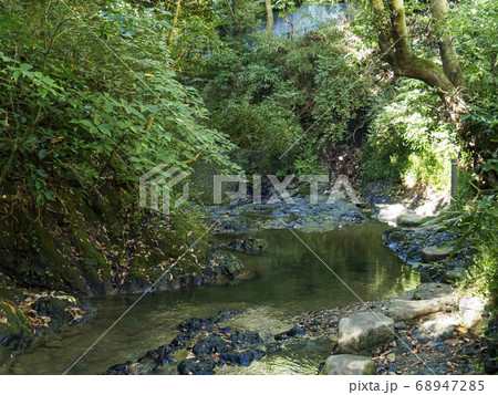 三浦半島に残る清流前田川渓谷の夏 68947285