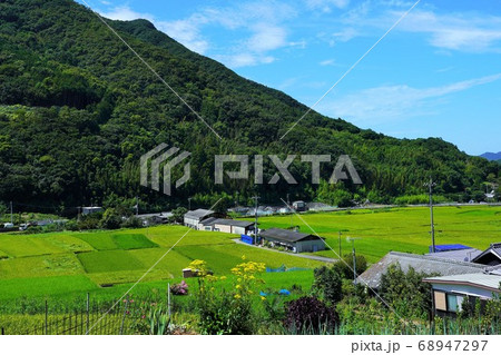 小豆島の風景（中山千枚田への道） 68947297