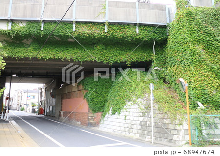東京メトロ千代田線 荒川鉄橋の蔦 東京メトロ千代田線 荒川鉄橋の蔦 68947674