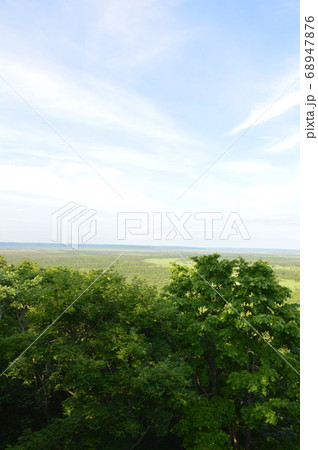 釧路湿原（釧路湿原展望台／北海道釧路市北斗） 68947876