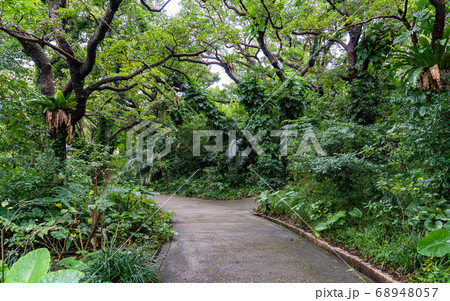 沖縄・首里城公園とバリケン 沖縄・首里城公園とバリケン 68948057