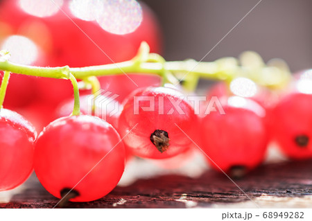 red currants on a wooden background in the garden bokeh 68949282