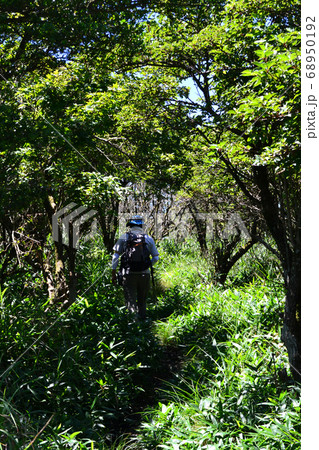 九重　猟師山登山　くじゅう連山、阿蘇五岳の眺望を楽しみながら登るトレッキングコース 68950192