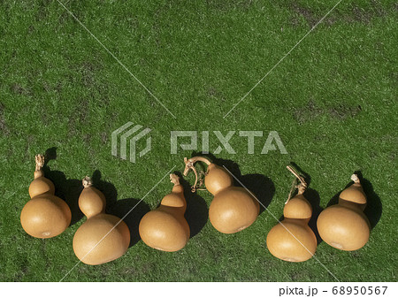 並ぶひょうたん 68950567