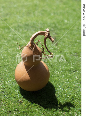 ひょうたん1個 68950568