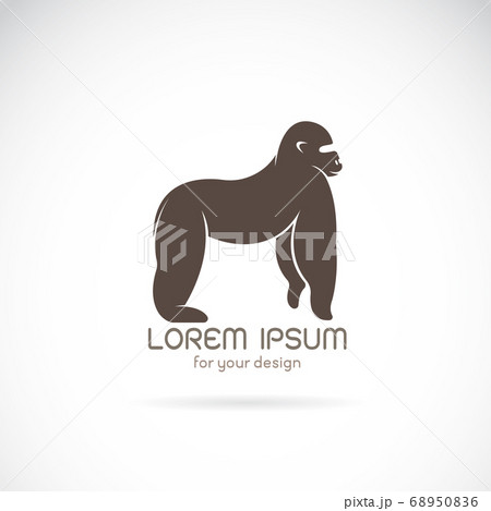 Vector image of an gorilla design. Vector image of an gorilla design. 68950836