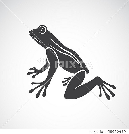 Vector image of a frog design. Animals. Vector image of a frog design. Animals. 68950939