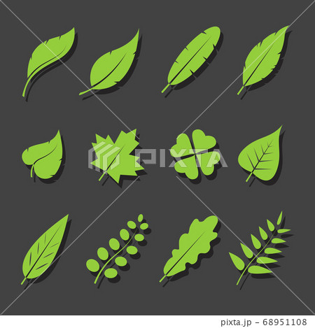 Vector leaves green icon set on black background. Vector leaves green icon set on black background. 68951108