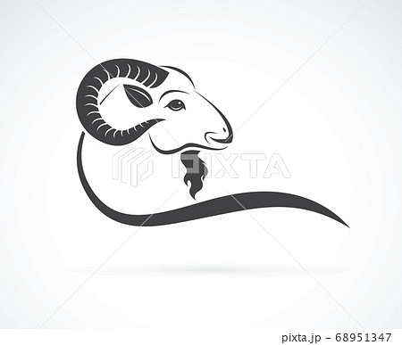 Vector image of an goat head design. Animals. Vector image of an goat head design. Animals. 68951347
