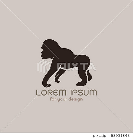 Vector image of an gorilla  design. Animals. 68951348