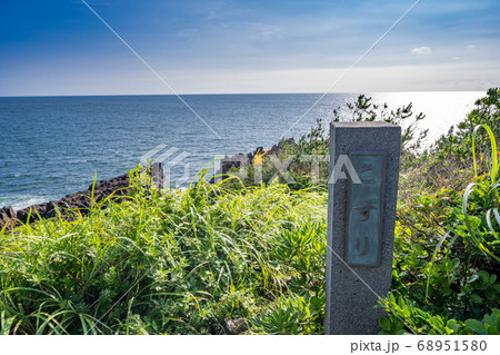 静岡県 伊東市 城ヶ崎海岸のピクニカルコース 68951580