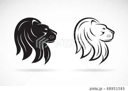 Vector image of an lions head design. Animals. 68951583