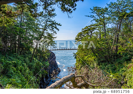 静岡県 伊東市 城ヶ崎海岸の門脇吊橋 68951756