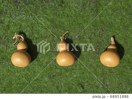 3個のひょうたん2 68951886