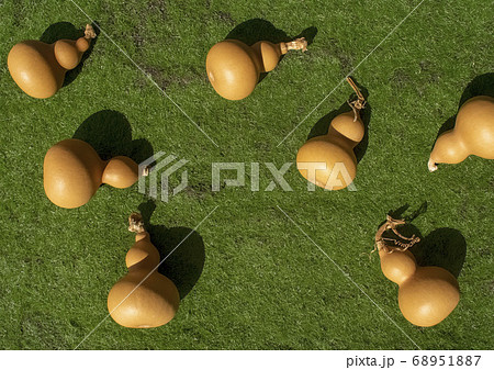 7個のひょうたん2 68951887