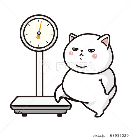 体重測定をする太った猫 ペットの健康管理のイラスト素材 65