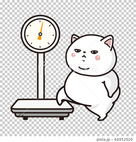 一隻胖貓在權衡寵物的醫療保健 一隻胖貓在權衡寵物的醫療保健 68952020