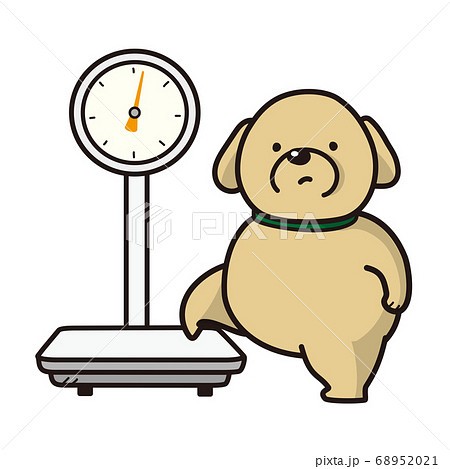 体重測定をする太った犬 ペットの健康管理のイラスト素材 6521
