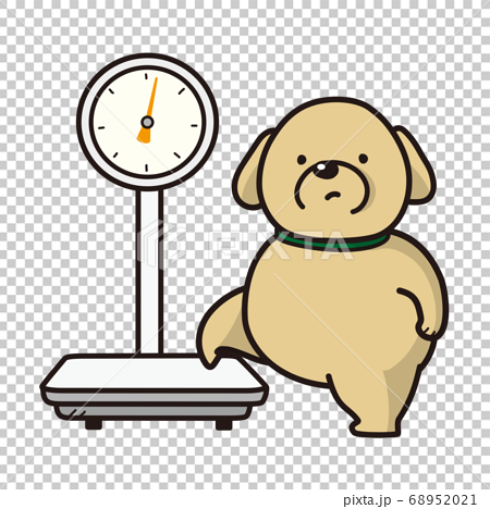 体重測定をする太った犬 ペットの健康管理のイラスト素材 6521