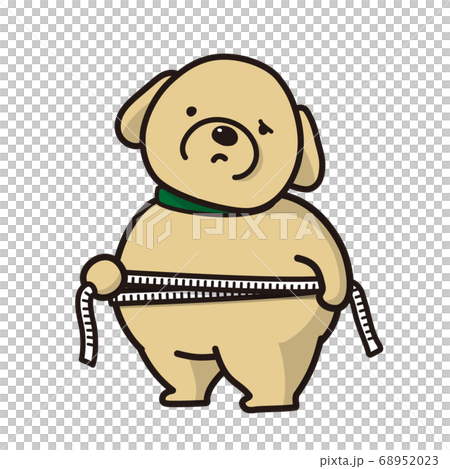 胖狗的腰圍已量度,寵物健康管理 胖狗的腰圍已量度,寵物健康管理 68952023