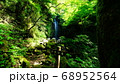 奥湯河原　白雲の滝 68952564
