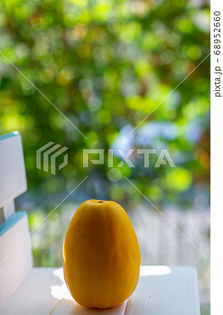 まくわうり 夏野菜 まくわうり 夏野菜 68952660