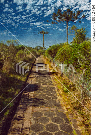 Pathway in the Aparados da Serra National Park 68952764