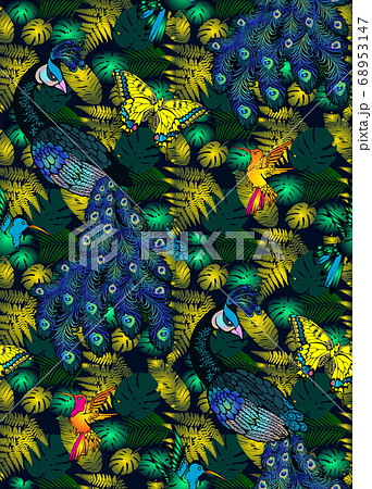 Pattern of peacock. Vector illustration....のイラスト素材 [68953147] - PIXTA