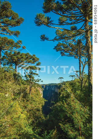 Itaimbezinho Canyon with rocky cliffs and forest 68954061