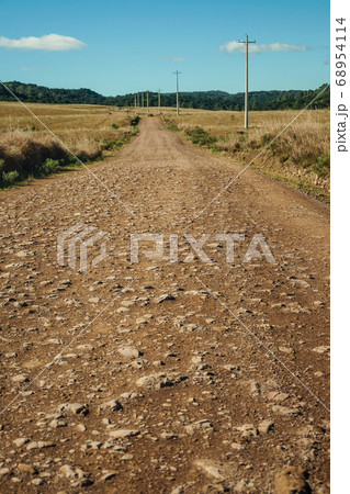 Dirt road on rural lowlands called Pampas Dirt road on rural lowlands called Pampas 68954114
