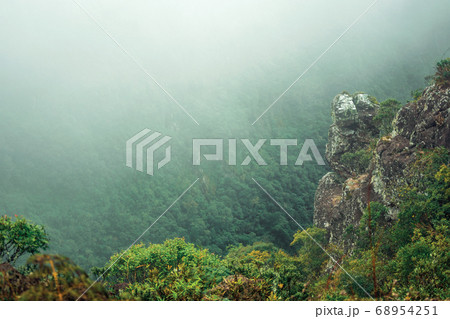 Steep rocky cliff with bushes and mist Steep rocky cliff with bushes and mist 68954251