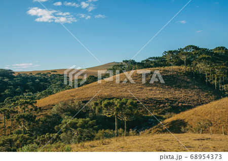 Landscape of rural lowlands called Pampas 68954373