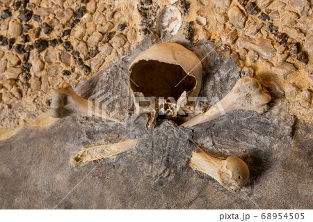 The broken skull and bones of a man on the wall in 68954505