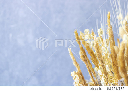 Bouquet of colorful dried flowers and yellow Bouquet of colorful dried flowers and yellow 68958585