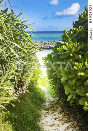 ヨロン島　トゥマイビーチへ続く小道 68958922