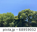 青空と木々 68959032