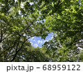 木の間の青空 68959122